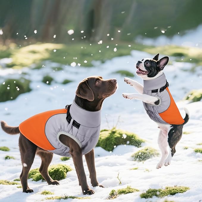DENTRUN Dog Coat with Harness Built in, Windproof Water-Repellent Winter Dog Jacket with Reflective Strips & Fleece Lined, Plush Turtle Neck for Small Dogs, Orange, XS