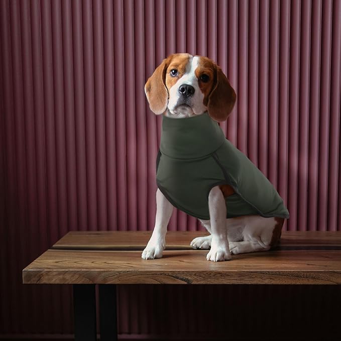 ROZKITCH Dog Winter Coat Soft Pullover Pajamas, Pet Windproof Warm Cold Weather Jacket Vest Cozy Jumpsuit Apparel Outfit Clothes for Walking Hiking Travel Sleep Green XS