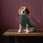 ROZKITCH Dog Winter Coat Soft Pullover Pajamas, Pet Windproof Warm Cold Weather Jacket Vest Cozy Jumpsuit Apparel Outfit Clothes for Walking Hiking Travel Sleep Green S