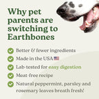 Earthbones (Formerly Terrabones) Dental Chews, Dog Teeth Cleaning Treat, Small, 13 Treats
