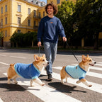 GreenJoy Classic Fleece Dog Sweater – Soft & Warm Stretchy Sweatshirt for Small Dogs & Cats, Cold-Weather Pullover for Everyday Wear (Dark Blue, Medium/Large)