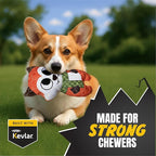 Bite Force -Durable & Strong Dog Toy Fox with Squeaker, Kevlar-Reinforced for Aggressive Chewers for Small Medium Large Dogs - Green.