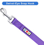 Pawtitas 6 FT Comfortable Dog Leash - Reflective Handle, Heavy Duty Training Leash for Puppies & Small Dogs - Purple