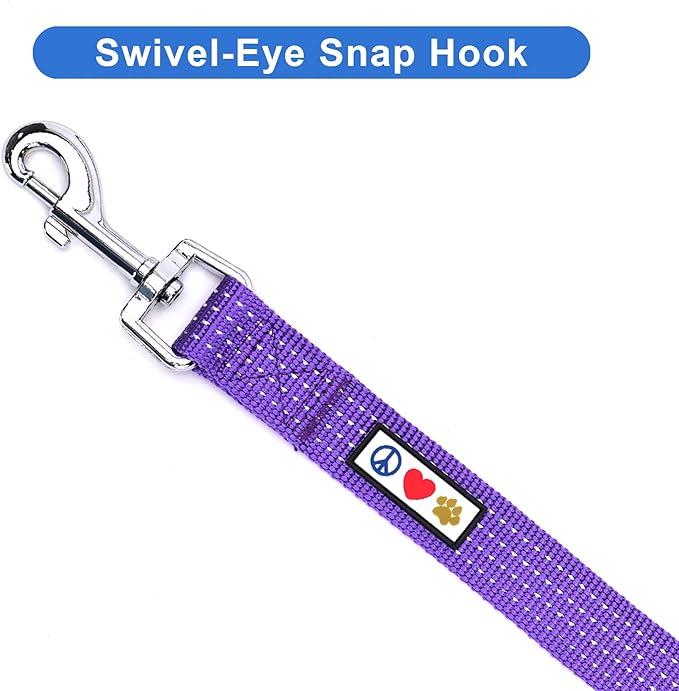 Pawtitas 6 FT Comfortable Dog Leash - Reflective Handle, Heavy Duty Training Leash for Puppies & Small Dogs - Purple