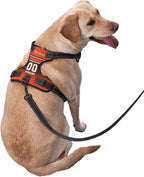 Custom Cleveland Dog Harness with Reflective Stripes Personalized Name and Number Dog Vest Harness with Pet Traction Rope for Small Medium Large Dog