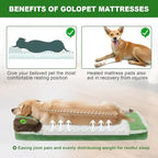 Heated Dog Bed 32x20x2 in,Equipped with MET/UL Dual Certified Heating Pad and Intelligent Controller,Thickened Memory Sponge+100% Plush Heated Pet Bed,Indoor Puppy Bed with Side Pillows