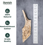 Mountain Valley Moose Antlers for Dogs - 100% Natural & Organic Chew for Aggressive Chewers, No Odor, No Mess, Long Lasting - Wild-Foraged Naturally Shed Antlers in USA - Grade A, Whole Large (1 Pack)