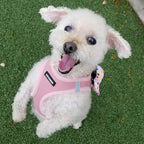 Best Pet Supplies Voyager Step-in Air Harness - All Weather Mesh, Reflective, No Pull Harness for Dogs, Cats - Secure with Hook & Loop Fastener, Buckle, Double D-Rings - Pink, XS