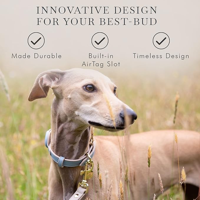 NINA WOOF Cupertino Dog Collars, Harnesses & Leashes Made from Vegan Leather with Dog Tracker Device Holder Adjustable Dog Collar (Extra Small, Blue)