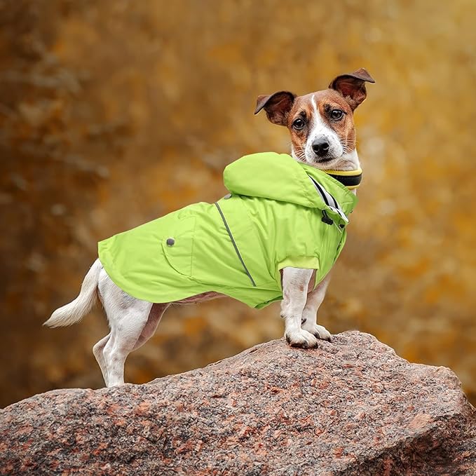 Dog Raincoat Waterproof Raincoats Dog rain Jacket Buttons Zipper Hood Drawstring Suitable for Small Medium Yorkie Terrier Schnauzer Poodle Border Collie Labrador 8lbs to 80lbs Green XS