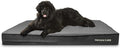 The Dog’s Bed Orthopedic Jumbo Memory Foam Dog Bed, XXXL Grey Plush, Pain Relief for Arthritis, Hip & Elbow Dysplasia, Post Surgery, Lameness, Supportive, Waterproof Washable Cover
