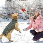 Malier Dog Winter Coat, Windproof Dog Cold Weather Coats with Real Pocket, Winter Extra Warm Pet Coat Fleece Jacket Reflective Clothes for Small Medium Large Dogs and Puppy (Green, XX-Large)