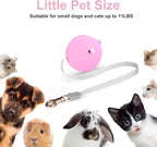 Retractable Dog Leash for Small Dogs Cats up to 11lbs with 6.5ft Anti-Pull Strong Nylon Tape, Hands Free, Mini and Portable Walking Leash with Wrist Strap, One-Hand Brake, Pink Round