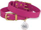 BRONZEDOG Leather Dog Collar with Metal Buckle Durable Basic Pet Collars for Small Medium Large Dogs (19-21 Inch (Pack of 1), Pink & Gold Buckle)