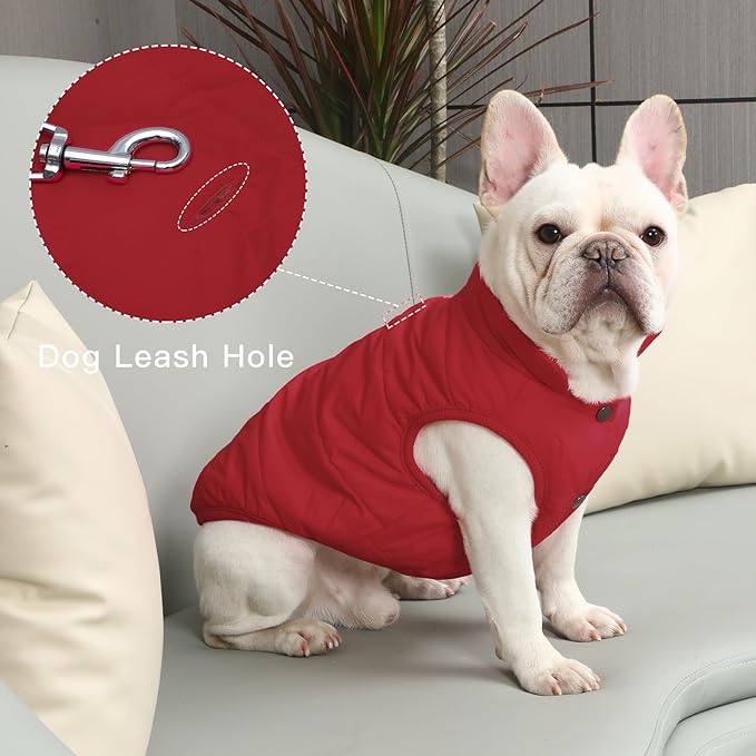 2 Layers Fleece Lined Warm Dog Jacket for Puppy Winter Cold Weather,Soft Windproof Small Dog Coat,Red S