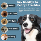 Dog Eye Drops, 2 x 50ml Gentle Eye Drops for Dogs & Cats with Honeysuckle Extract, Dog Eye Infection Treatment, All Natural Pet Tear Stain Remover for Dogs Eye Wash, Soothe Discomfort & Irritation