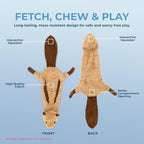 Best Pet Supplies Squeaky Dog Toys with Soft Durable Fabric for Small, Medium and Large Pets Interactive Toy for Indoor Play, Supports Active Biting and Play - Squirrel, Medium