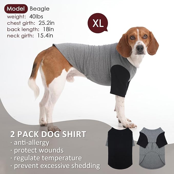 2 Pack Dog Shirt for Medium Dogs - Soft Breathable Summer Cool Tee, Lightweight Comfortable Clothes for Sensitive Skin Jack Russell, Shihtzu, Indoor Lounging, Walking, Park Play, GreyBlack