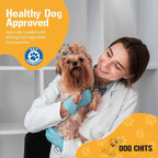 Dog Chits Pig Ears for Dogs – 100% Natural Baked Pig Ear Dog Treats & Training Chews – High Protein, Lower Fat, Grain-Free – Great for Puppies, Dental Support – Medium Size, 15 Pack – Made in USA