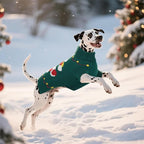 BRKURLEG Dog Sweaters, Christmas Dog Sweaters for Small Dogs Boy Girl, Warm Sweater for Cold Weather, Xmas, New Year, Pet Winter Knitted Sweatshirt Outfit for Cats, Chihuahua,Yorkie (Green, XS)