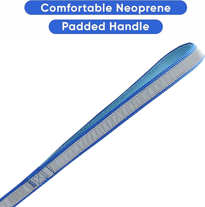 Pawtitas Personalized Dog Leash Embroidered Customize Your Pet Name & Phone Number Puppy Reflective 6 ft Long Small Blue Custom Tag Name, Blue Reflective 🔦 Padded