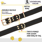 ADITYNA Heavy Duty Leather Dog Collar for Large Dogs - Soft and Strong Leather Collar for Walking and Training (Black - Gold Colored Buckle, Large: Fit 17" - 23" Neck)