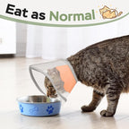 Cat Cone Collar Soft: Comfortable Waterproof Mesh Recovery Cone After Surgery to Stop Licking and Scratch, Alternative to Plastic Elizabeth Head/Neck Cone for Large Cats and Small Dogs