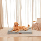 Orthopedic Dog Beds Large Sized Dog, Memory Foam Pet Bed for Large Dogs, Washable Removable Cover, Nonskid Bottom, Waterproof, 44x32x6 Inches, Light Grey