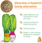 KittiVeggi 2-Pack Organic Silvervine Catnip Substitute Toys for Cats & Kittens | 100% All-Natural Wild Harvested Silvervine | 2 Refillable Vegetable Kicker Cat Toys