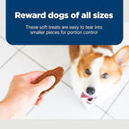 Blue Buffalo Nudges Jerky Cuts Natural Dog Treats Chicken Bag