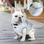 Windproof Waterproof Dog Coat - Fleece & Cotton Lined Warm Jacket, Cold Weather Pet Apparel for Small to Large Dogs (XS, Silver)