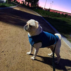 Gooby Stretch Fleece Vest Dog Sweater - Steel Blue, Large - Warm Pullover Super Stretchy Fleece Dog Jacket for Small to Large Dogs