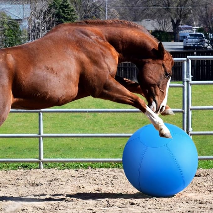 Herding Ball for Dogs- 18" Dog Herding Ball for Dogs/Horse, Dog Agility Equipment for Australian/German Shepherd Collie, Toys for Christmas/Birthday Gifts, Blue