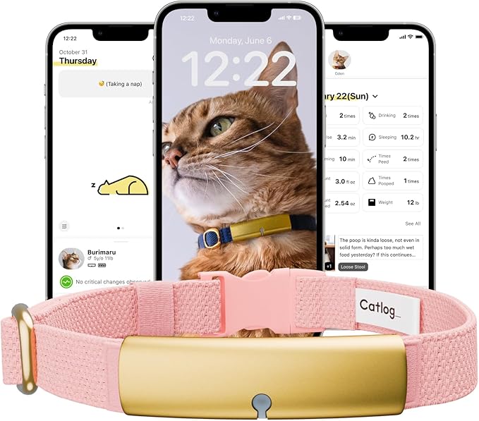 Health Tracker for Cats - Smart Cat Collar with Safety Breakaway Buckle for Indoor Cats, Wellness Alerts, Real-time Monitoring (Sakura, XS)