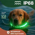 DOGWONG LED Dog Collar - Heavy Duty Light up Collars - Rechargeable Waterproof - Lighted Dog Collar for Night Walking, Hiking, Camping(White,M)