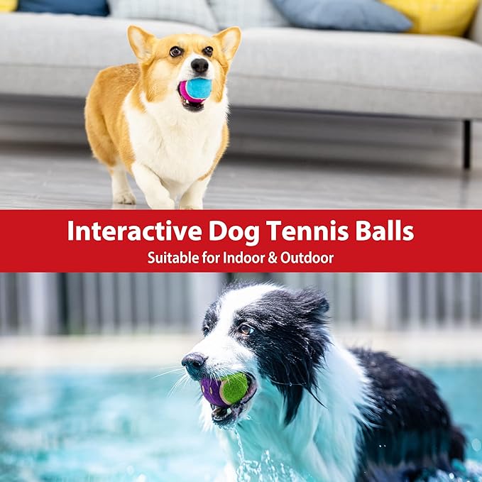 Gigwi Tennis Balls for Dogs, Squeaky Dog Tennis Balls for Exercise, High Bouncy Pet Ball Bright Colors 2.5 Inches, Interactive Funny Dog Toys for All Breeds of Dogs Indoor & Outdoor Dog Games, 3 Pack