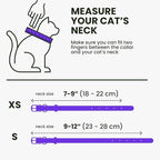 BRONZEDOG Leather Cat Collar with Removable Bells Non Breakaway Kitten QR Tag for Girl Boy (7" - 9" for Cats, Purple & Gold)