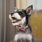 Beirui Cute Extra Small Dog Harness Collar and Leash Set with Bowtie, Soft Adjustable Plaid Puppy Harness for Small Sized Dogs Cats Walks Parties and Photoshoots(Maroon,XS:Chest 13-18")