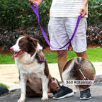 AMAGOOD 6 FT Puppy/Dog Leash, Strong and Durable Traditional Style Leash with Easy to Use Collar Hook, Great for Small, Medium and Large Dogs (1" x 6 ft, Black and Purple (2-Pack))