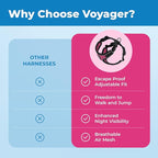 Voyager Escape Proof Cat Harness and Leash Set with Reflective Stitching, Neoprene Handle 5ft - Supports Small, Medium and Large Cats, Kittens for Walking by Best Pet Supplies - BT-Fuchsia, XXXS