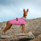 Lelepet Warm Dog Coats for Large Dogs Waterproof Dog Winter Jacket Reflective Pet Fleece Vest Windproof Cold Weather Coats with Adjustable Buckle & Leash Hole, Pink, XXL