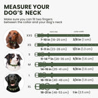 BronzeDog Rolled Leather Dog Collar with QR ID Tag, Adjustable Soft Round Collars for Small Medium Large Dogs Puppy (7" - 10" Neck Size, Emerald Green)