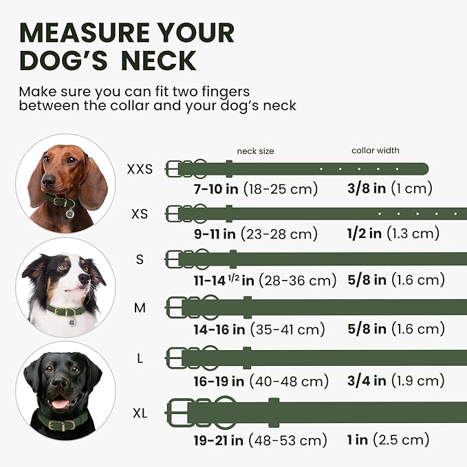 BronzeDog Rolled Leather Dog Collar with QR ID Tag, Adjustable Soft Round Collars for Small Medium Large Dogs Puppy (11" - 14 1/2" Neck Size, Emerald Green)