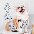 Waterproof Belly Shield for Corgis & Dachshunds – Adjustable underbelly Protector. Male/Female Designs. Stays Dry in rain, mud & Grass. Ideal for Sensitive Skin (Blue - Male, L)