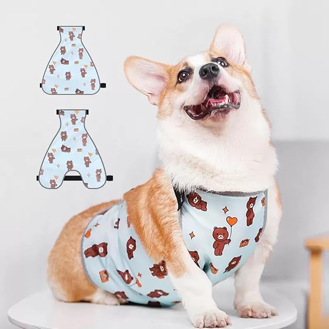 Waterproof Belly Shield for Corgis & Dachshunds – Adjustable underbelly Protector. Male/Female Designs. Stays Dry in rain, mud & Grass. Ideal for Sensitive Skin (Blue - Female, M)