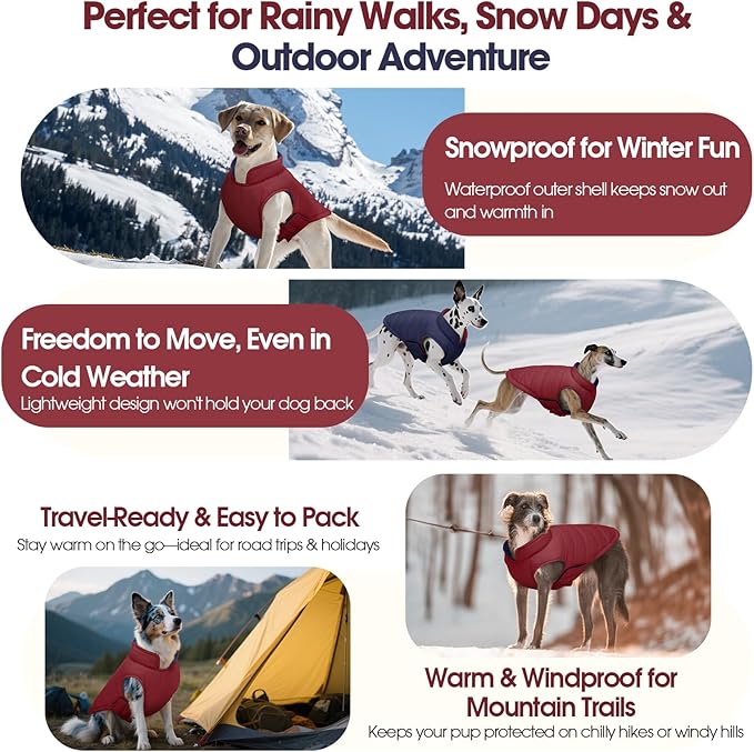 QBLEEV Reversible Dog Coat for Small Dogs, Waterproof Windproof Winter Jacket Keeps Small Breeds Warm & Dry, Lightweight Adjustable Puffer Vest with Leash Hole, Wine Red, XS – Fits Chihuahua, Yorkie