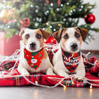 SCENEREAL Christmas Dog Bandanas 2 Pack, Puppy Xmas Santa Claus Elk Triangle Bibs Handkerchief, Reversible Holiday Dog Bandana for Boy and Girl, Premium Pet Scarf for Small Medium Large Dogs XL