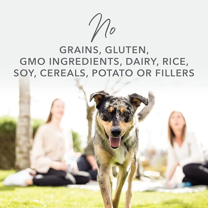 K9 Natural - Grain Free Freeze Dried Dog Food - Lamb, 4lb