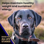 VICTOR Super Premium Dog Food – Select Beef Meal & Brown Rice Formula for Immune and Gut Health – Gluten-Free Beef Meal Dry Dog Food for All Normally Active Dogs of All Life Stages, 40 lbs