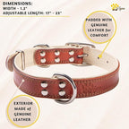 ADITYNA Heavy-Duty Leather Dog Collar for Large Dogs - Soft Padded for Comfort - Large Dog Collar for Walking, Training, and Hiking